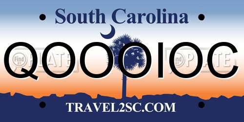 QOOOIOC South Carolina License Plate