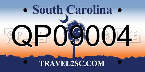 QP09004 South Carolina License Plate