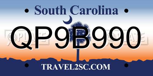 QP9B990 South Carolina License Plate