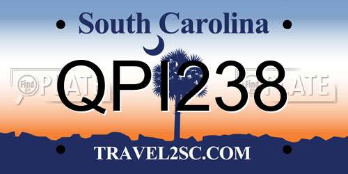 QPI238 South Carolina License Plate