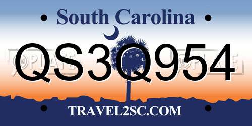 QS3Q954 South Carolina License Plate