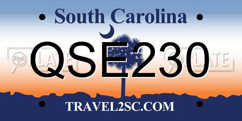 QSE230 South Carolina License Plate