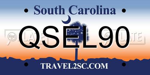 QSEL90 South Carolina License Plate