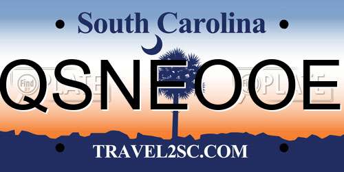 QSNEOOE South Carolina License Plate
