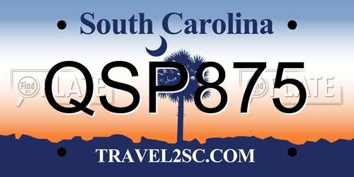 QSP875 South Carolina License Plate