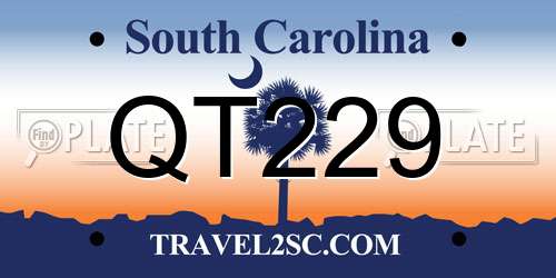 QT229 South Carolina License Plate
