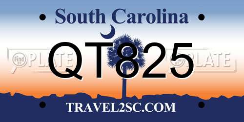 QT825 South Carolina License Plate