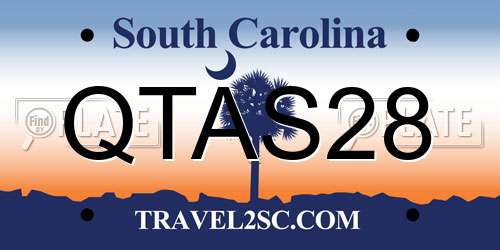 QTAS28 South Carolina License Plate