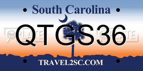 QTGS36 South Carolina License Plate