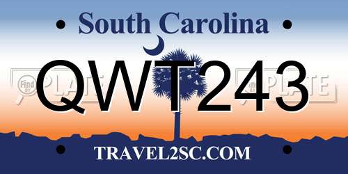 QWT243 South Carolina License Plate