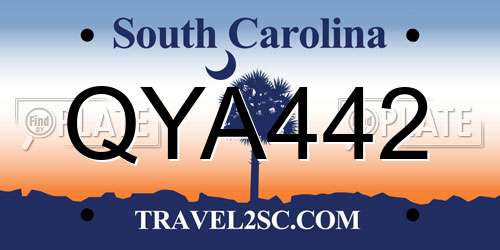 QYA442 South Carolina License Plate