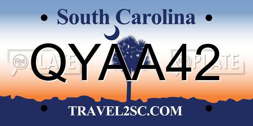QYAA42 South Carolina License Plate