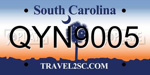 QYN9005 South Carolina License Plate