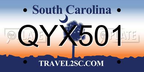 QYX501 South Carolina License Plate