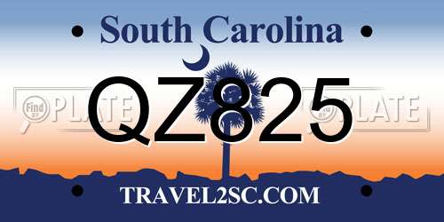 QZ825 South Carolina License Plate