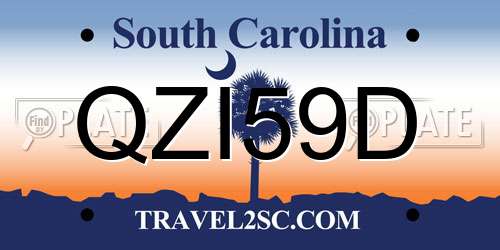 QZI59D South Carolina License Plate