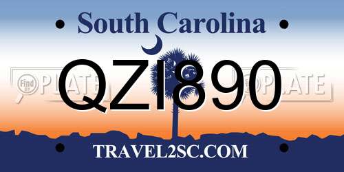QZI890 South Carolina License Plate