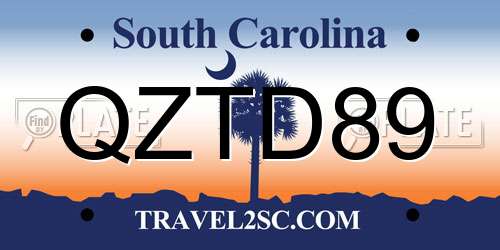 QZTD89 South Carolina License Plate
