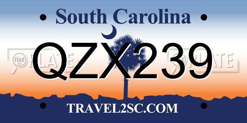 QZX239 South Carolina License Plate