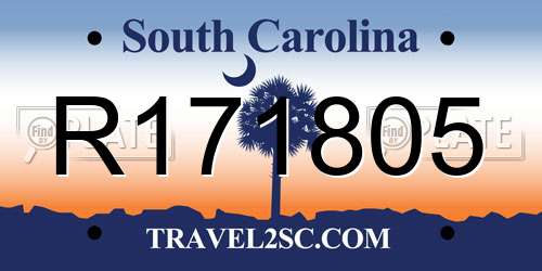 R171805 South Carolina License Plate