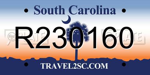 R230160 South Carolina License Plate