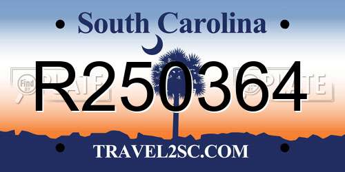R250364 South Carolina License Plate
