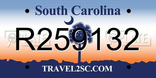 R259132 South Carolina License Plate