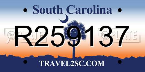 R259137 South Carolina License Plate