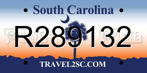 R289132 South Carolina License Plate