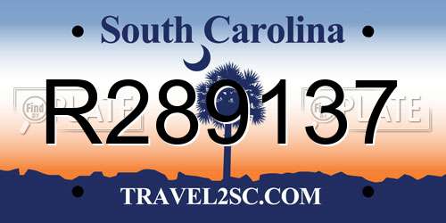 R289137 South Carolina License Plate