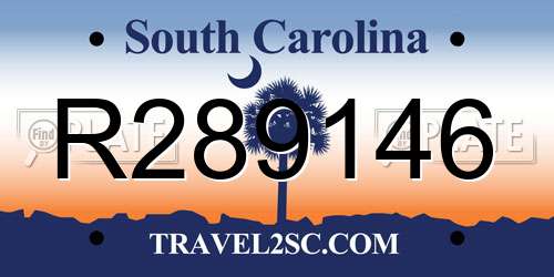 R289146 South Carolina License Plate