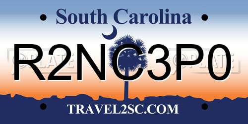 R2NC3P0 South Carolina License Plate