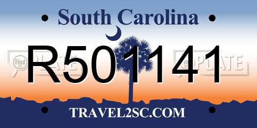 R501141 South Carolina License Plate