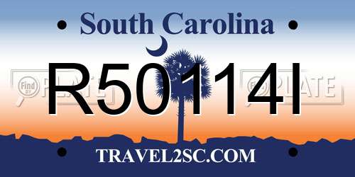 R50114I South Carolina License Plate
