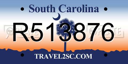 R513876 South Carolina License Plate