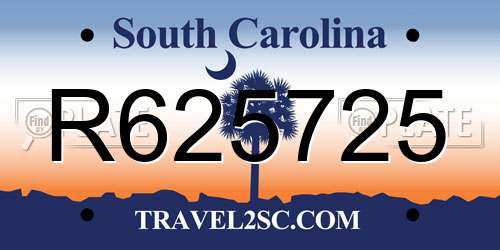 R625725 South Carolina License Plate