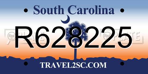R628225 South Carolina License Plate