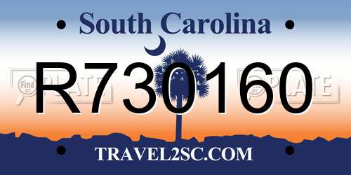 R730160 South Carolina License Plate