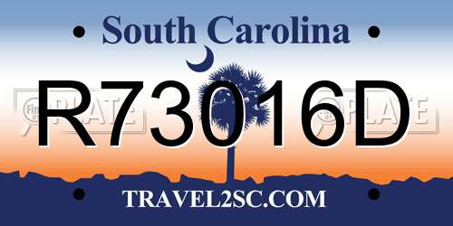R73016D South Carolina License Plate