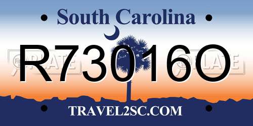 R73016O South Carolina License Plate