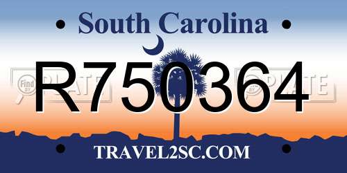 R750364 South Carolina License Plate