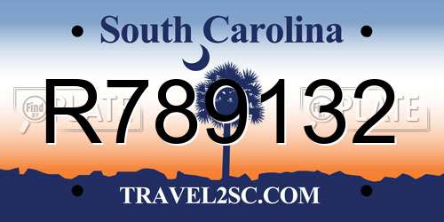 R789132 South Carolina License Plate
