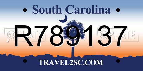 R789137 South Carolina License Plate