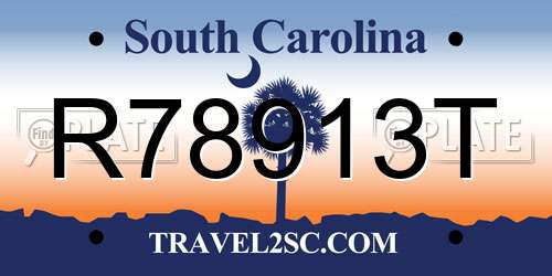 R78913T South Carolina License Plate