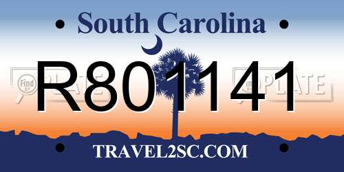 R801141 South Carolina License Plate