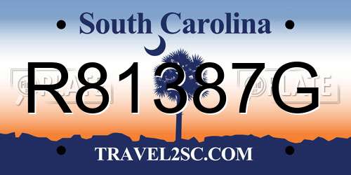 R81387G South Carolina License Plate