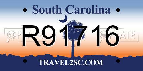 R91716 South Carolina License Plate