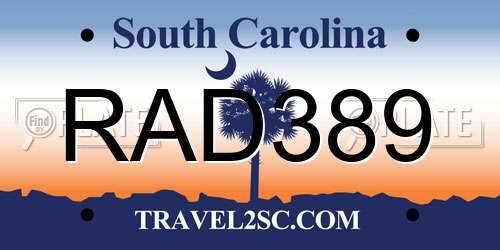 RAD389 South Carolina License Plate