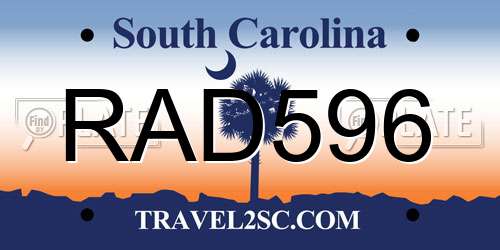 RAD596 South Carolina License Plate
