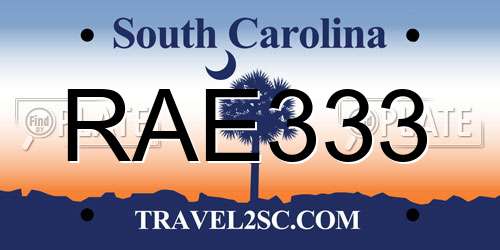 RAE333 South Carolina License Plate